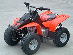 Квадроцикл FL50cc mini ATV